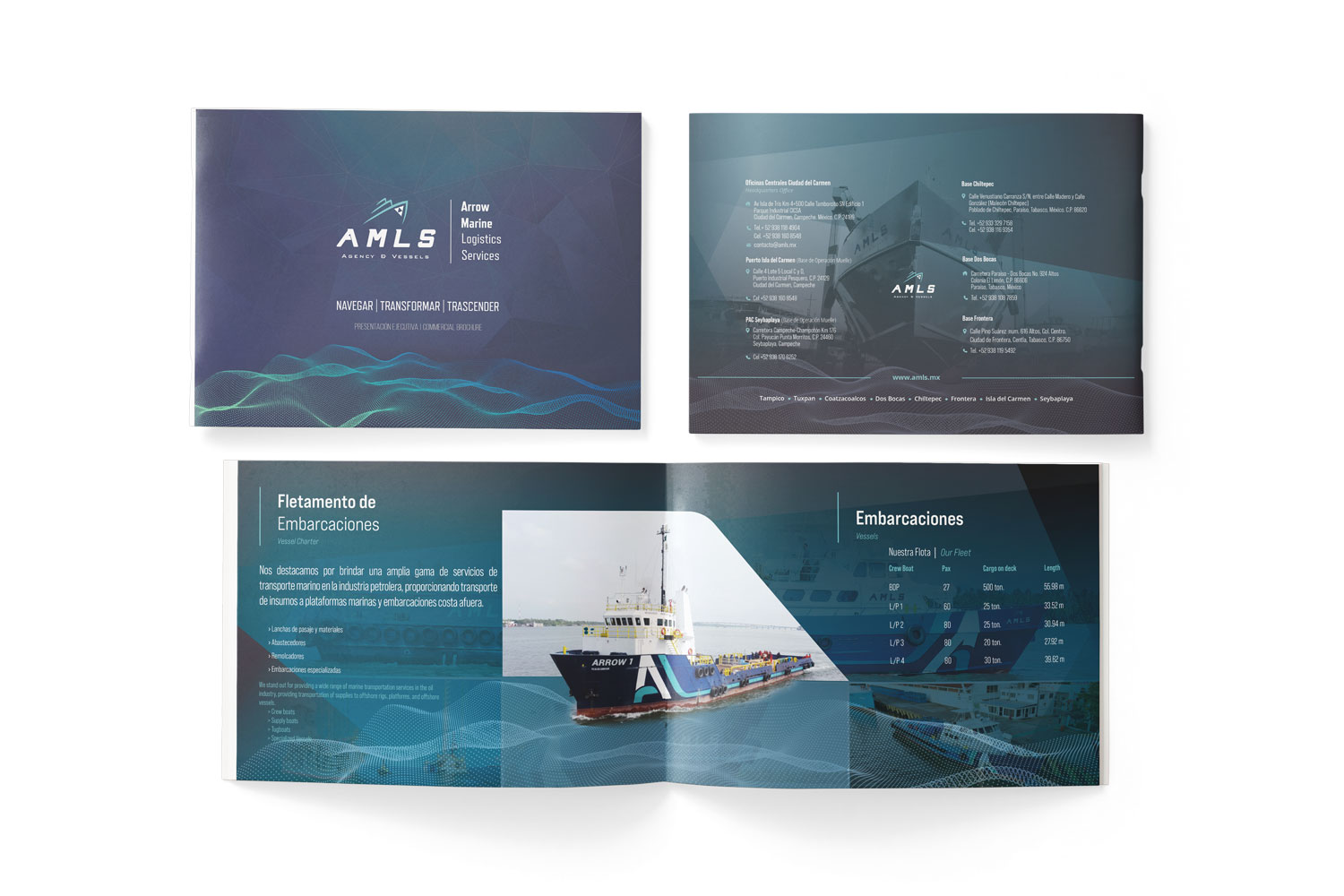 AMLS | Diseño de Folleto Corporativo